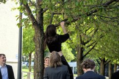 IMG_6298