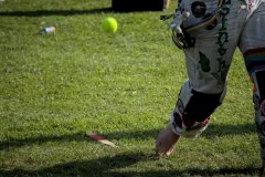 IMG_8175