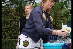 Spices-kara-kockfamilj